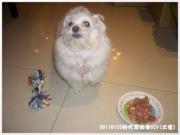 20110122好吃肉凍DIY 20110122好吃肉凍DIY