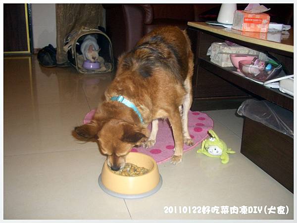 20110122好吃肉凍DIY 20110122好吃肉凍DIY