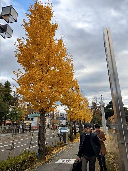 日本自由行|白川鄉合掌村、金澤住宿、美食、景點(金澤膠囊賓館