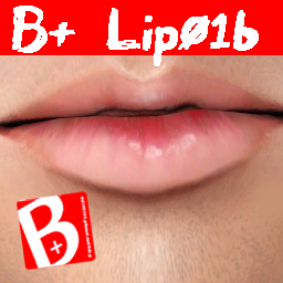 B+_lip01a_logo