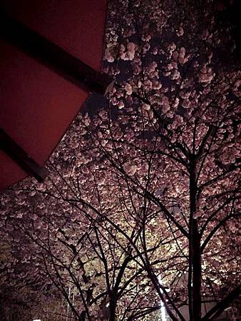 20150412-170 20150412-170