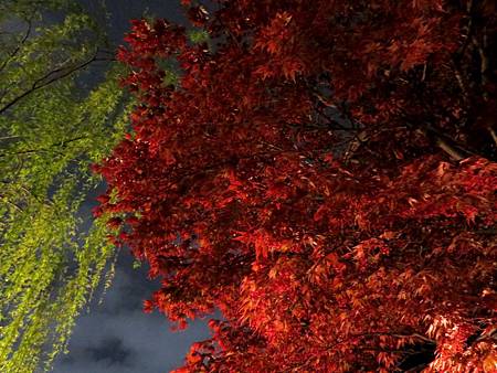 20150412-189 20150412-189