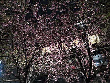 20150412-280 20150412-280