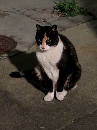 20150412-231 20150412-231