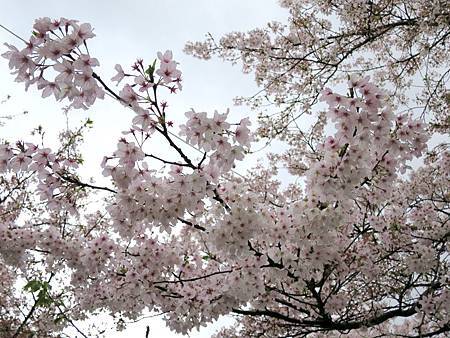 20150413-275 20150413-275