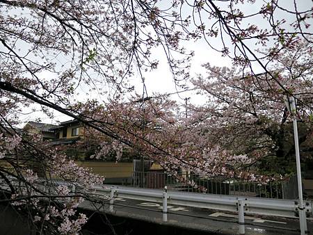 20150413-270 20150413-270