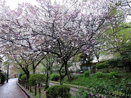 20150413-297 20150413-297