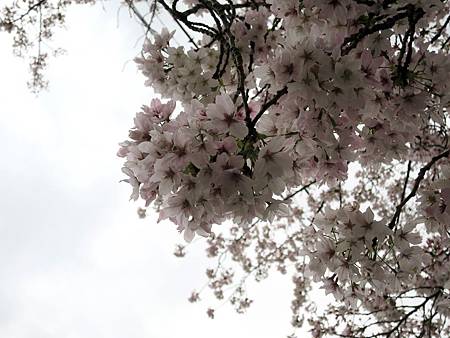 20150413-276 20150413-276