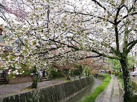 20150413-290 20150413-290