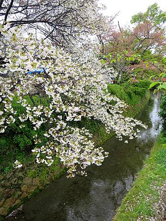 20150413-294 20150413-294