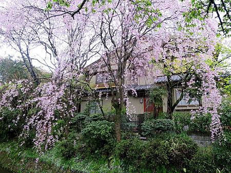 20150413-330 20150413-330