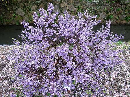 20150413-326 20150413-326