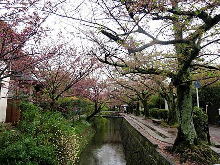 20150413-339 20150413-339