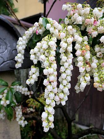 20150413-328 20150413-328