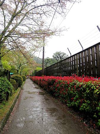 20150413-340 20150413-340