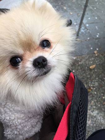 20150413-320 20150413-320