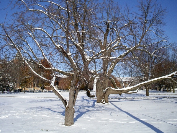 厚厚一層雪