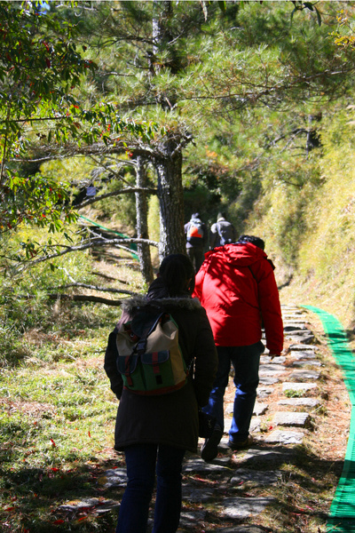 漫漫上坡路,幸好有美景相伴