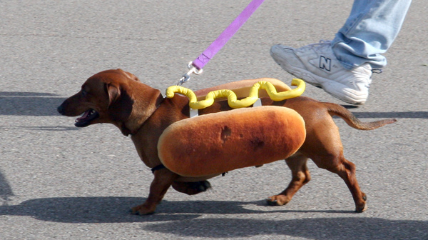 img-hot-dog_183422638724.jpg