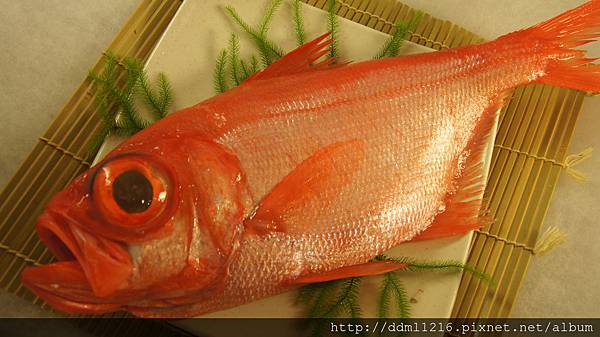 金目鯛 きんめ だい Halu 旬彩菜的懷石饗宴 痞客邦 金目鯛 きんめ だい Halu 旬彩菜的懷石饗宴 痞客邦