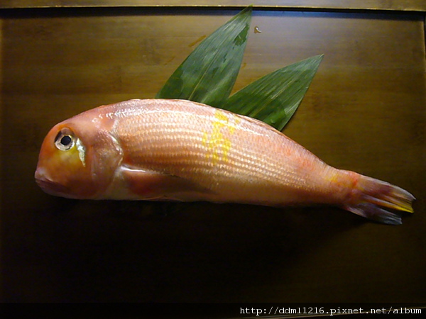 あまだい(甘鲷,马头鱼)