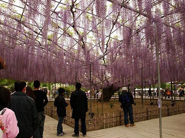 20110504 007.jpg 20110504 007.jpg