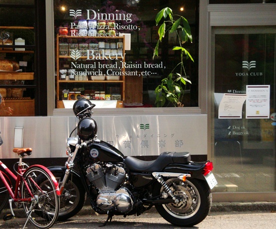 20110504 001.jpg 20110504 001.jpg