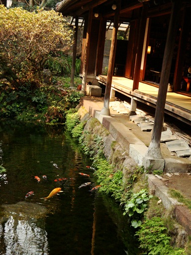20110205 014.jpg 20110205 014.jpg