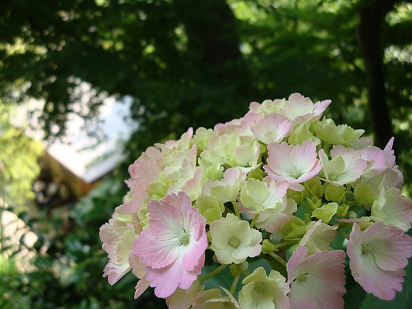 20100612 112.JPG 20100612 112.JPG
