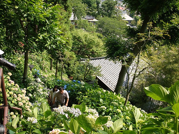 20100612 100.JPG 20100612 100.JPG