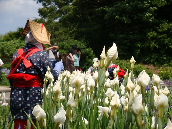 20100612 200.JPG 20100612 200.JPG