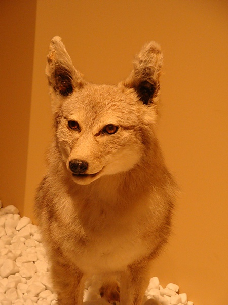 20100606 09.JPG 20100606 09.JPG