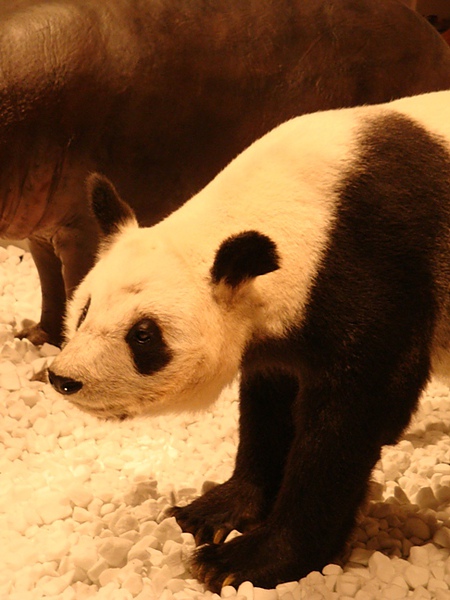 20100606 02.JPG 20100606 02.JPG