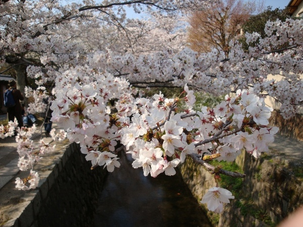 20090406 9.JPG 20090406 9.JPG
