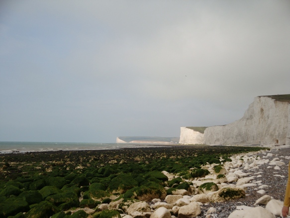 200908005.JPG 200908005.JPG