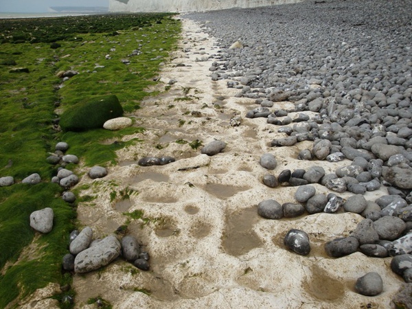 S007.JPG S007.JPG