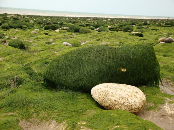 S008.JPG S008.JPG