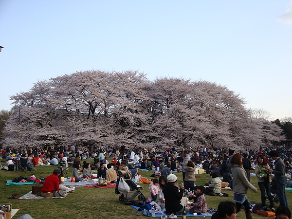 20100403 044.JPG 20100403 044.JPG