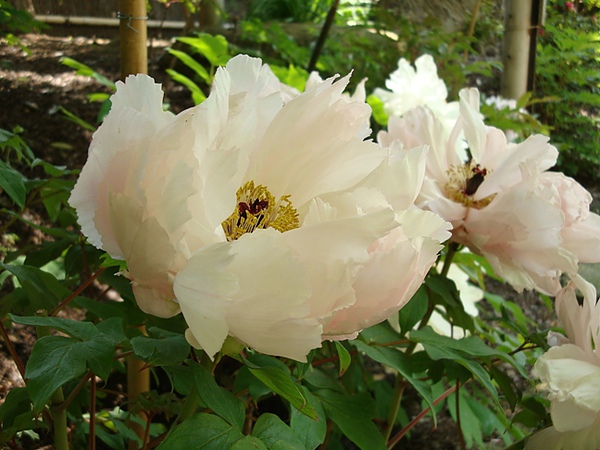 050105.JPG 050105.JPG