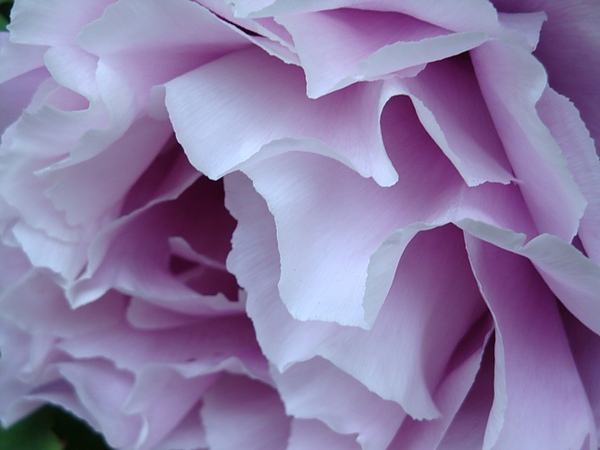 050110.JPG 050110.JPG