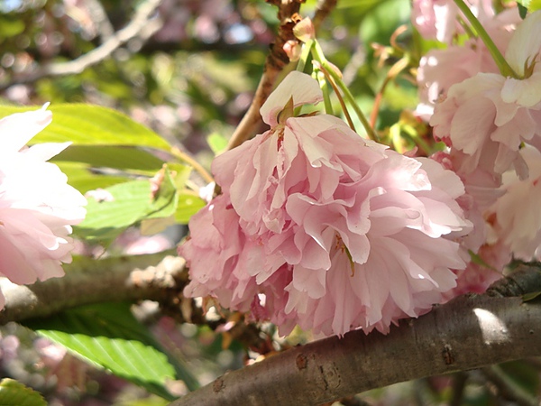 050115.JPG 050115.JPG