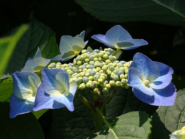 20100612 06.JPG 20100612 06.JPG
