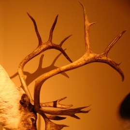 msn22.JPG msn22.JPG