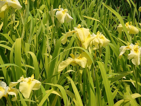 20100612 213.JPG 20100612 213.JPG