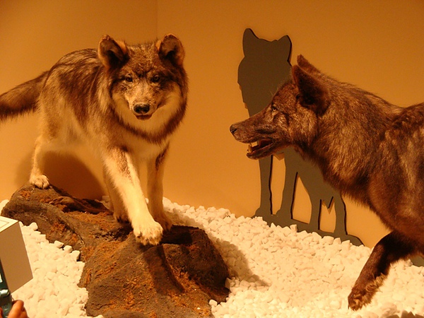 20100606 07.JPG 20100606 07.JPG