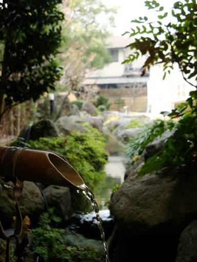 20110205 011.jpg 20110205 011.jpg