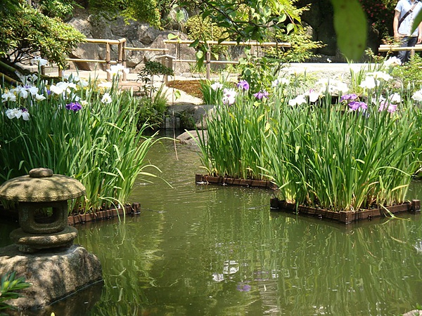 20100612 01.JPG 20100612 01.JPG