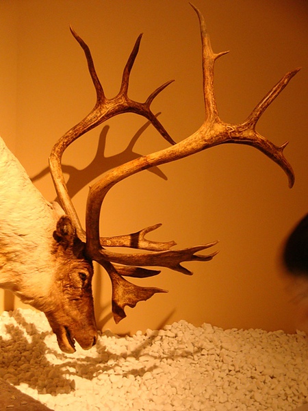 20100606 004.JPG 20100606 004.JPG