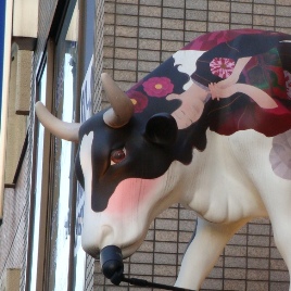 msn11.JPG msn11.JPG