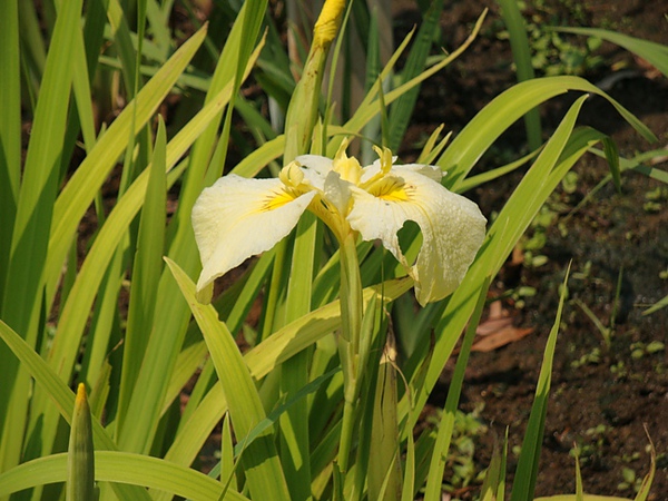 20100612 214.JPG 20100612 214.JPG